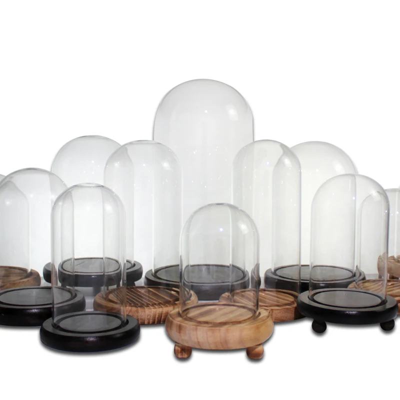 baratas Redoma de vidro