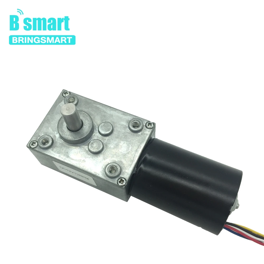 Bringsmart 브러시리스 DC 웜 기어 모터, BLDC 자동 잠금 제동 기어 박스, 맞춤형 전기 모터, 5840-3650, 12V, 24V, 8-470rpm