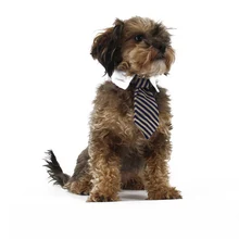 Новые аксессуары для собак модная полосатая домашних кошек галстук Товары для щенков маленький Животные Чихуахуа Йоркширский Розничная и