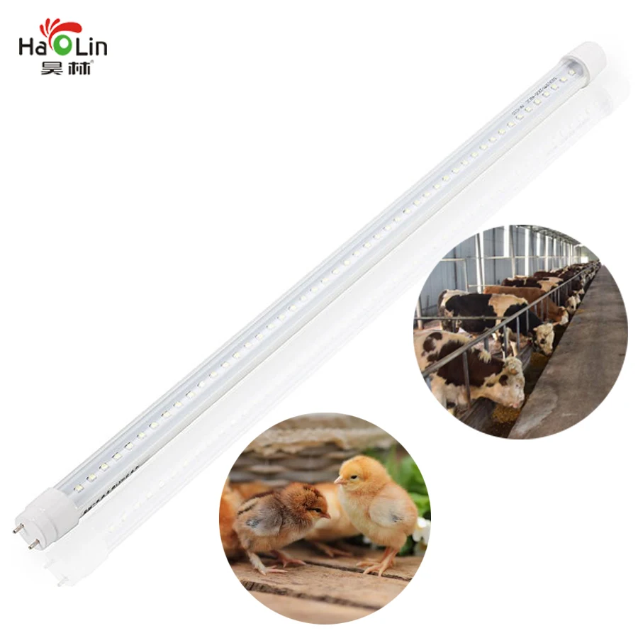

LED Animal Grow Light Tube Farm Bird Egg Table Poultry Pig Chicken Cattle Sheep 60cm 9W EU/US/UK/AU Plug