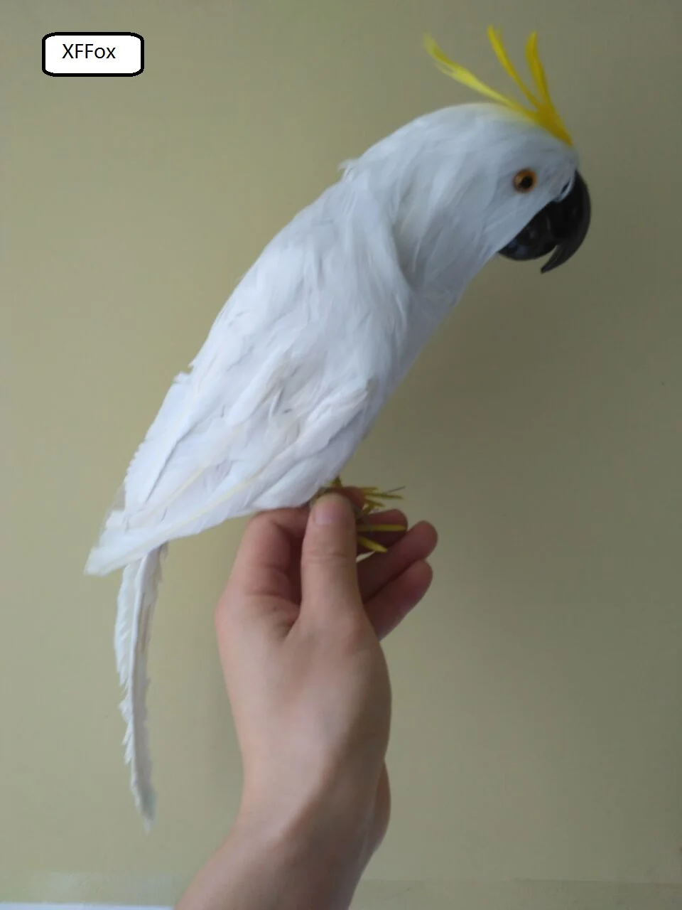 Белый настоящий попугай Модель Пена и перо Новый cockatoo Птица Подарок около 32 см