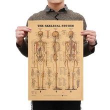 1 unidad de papel Kraft estructura del cuerpo Retro póster Vintage Mural decoración del hogar el sistema de esqueleto pegatina de pared esqueleto anatomía Póster