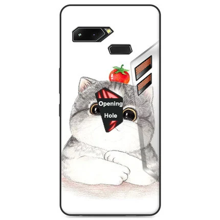 Cases For Asus ROG Phone Case TPU Soft Slim Silicon rog gaming phone Lite Cover Bumper Shockproof ZS600KL Protective Casings - Color: A21