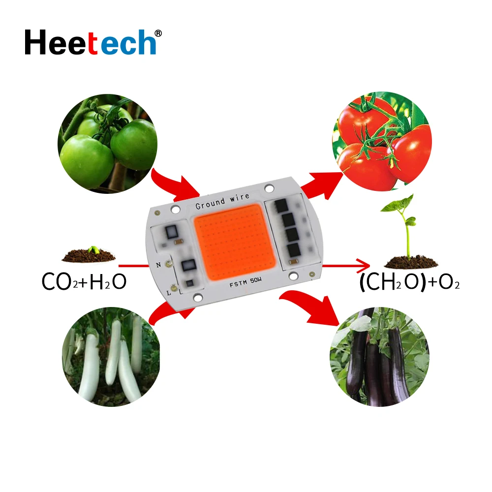 LED COB Chip Grow Light Phyto Lamp AC 220V 240V 20W 30W 50W Full Spectrum Flower Lamp For Plant Growth Flower Seedling Grow grow light