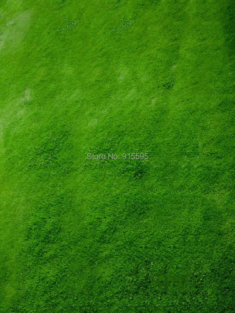 melhorias domésticas