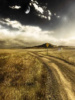 

Life Magic Box backgrounds for photo studio Wheat field camera fotografica backdrops S-1811