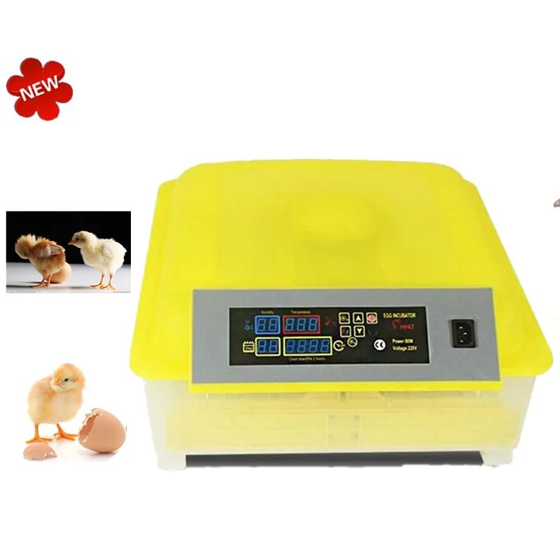 

48-Eggs Intelligent Automatic Egg Incubator for Hatching Chicken Duck Bird Quail Poultry AC110-220V