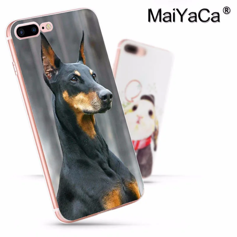 Чехол для телефона MaiYaCa animal Doberman Pinscher Dog Для iphone SE 2020 11 pro 8 7 66S Plus X 10 5S 5C XS XR MAX|for