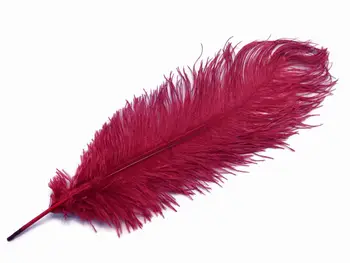 

50pcs burgundy Wedding Birthday Party Natural Ostrich body Feathers 12-14 inches/30-35cm Bulk