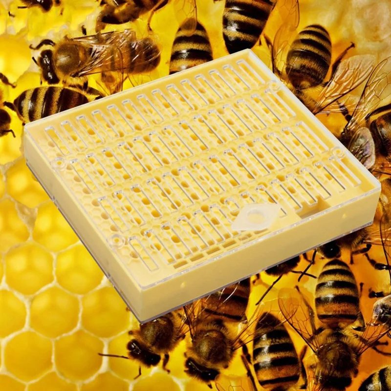 

10 Pcs Plastic Bee Queen Box Queen Rearing Box Cultivate Queen Bee Tool Beekeeping Tool Plastic Durable Does Not Harm Queen Be