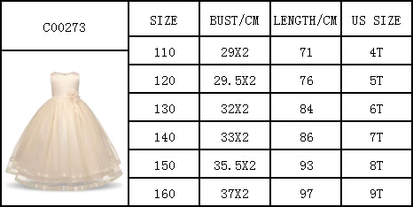 C00273 XIN