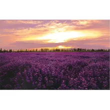 Фиолетовый лавандовое поле Деревянный Пазл 1000 шт. мозаика с пейзажем Новое поступление взрослые 1000 шт деревянные Развивающий пазл игрушка D