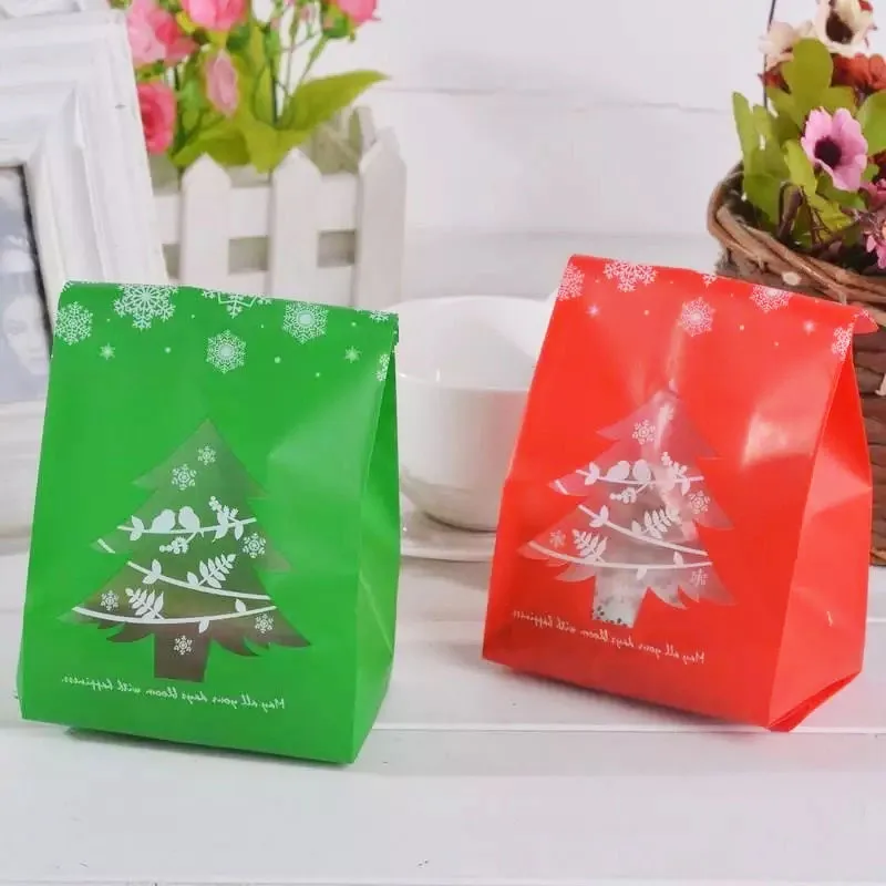 plastic bag (2)