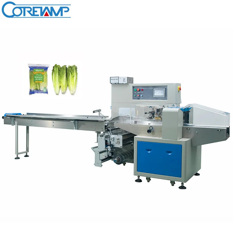 packing machine home Machine in Fresh Vacuum Food Packing Leafy Vegetables