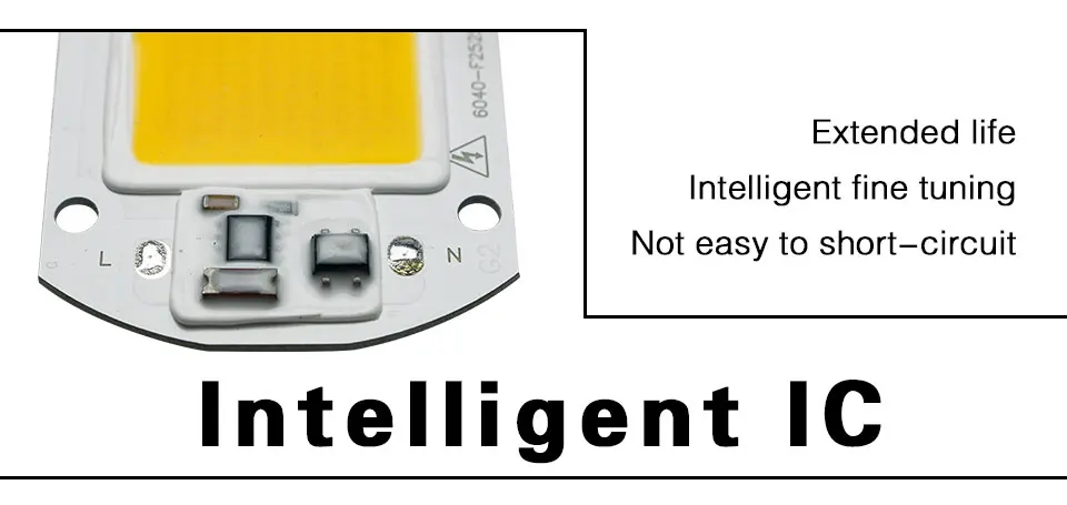 led chip (19)