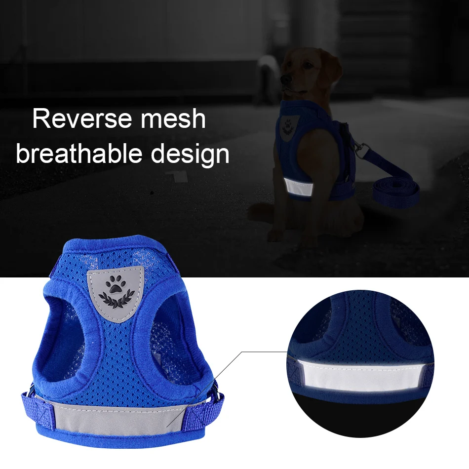 harness for dogs