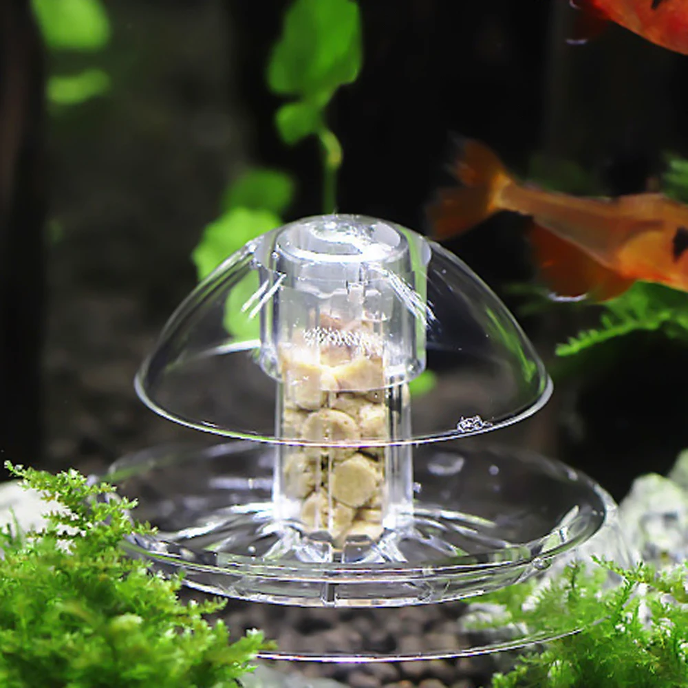 Plastic Clear Snail Trap Free Bait for Aquarium Fish Tank Plants