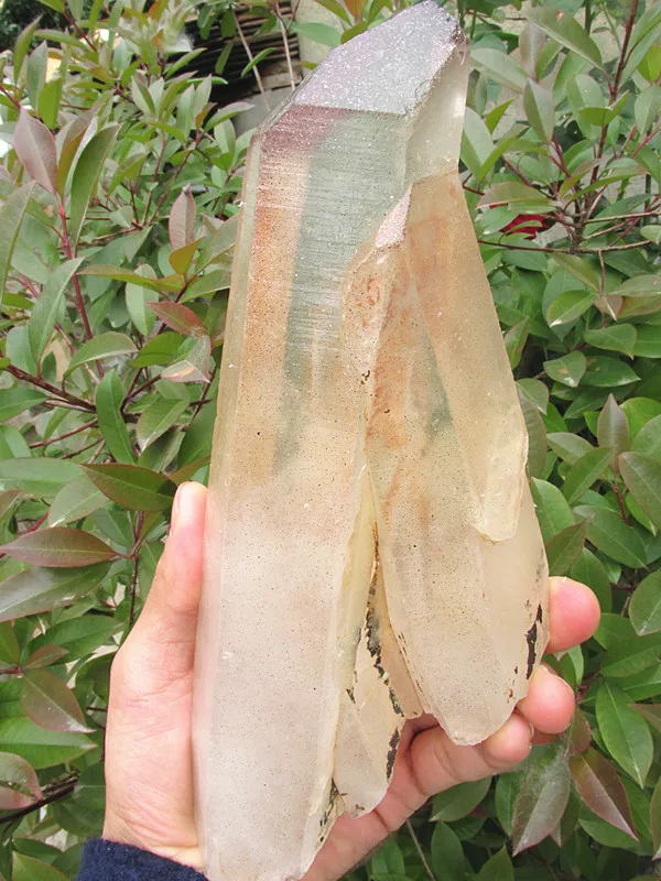 

Natural strawberry crystalloid column