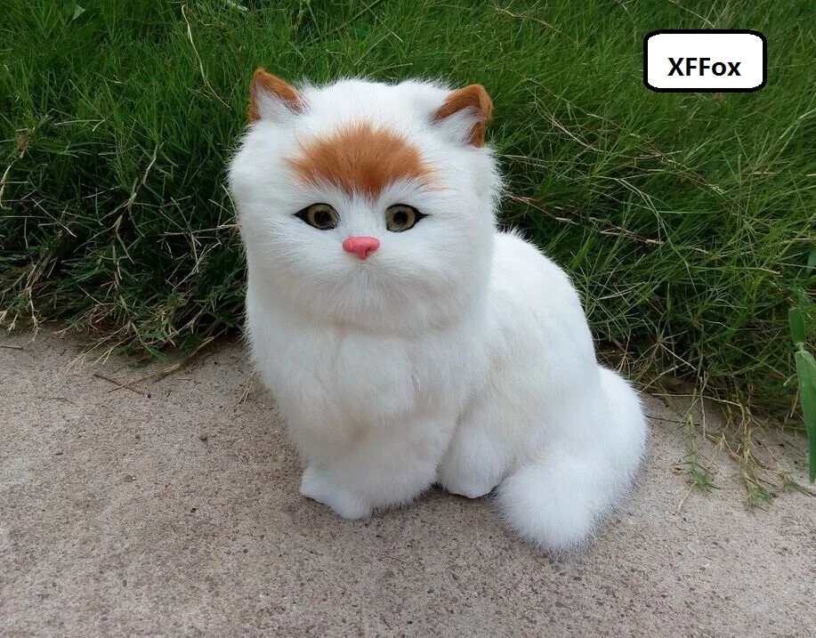 fat cat white