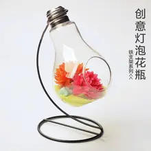 Европа Стеклянная Круглая объемная ваза гидропонная железная Ремесленная Декоративные аксессуары