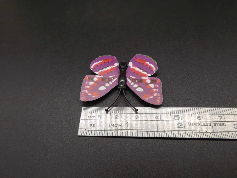 I247-Butterfly (12)