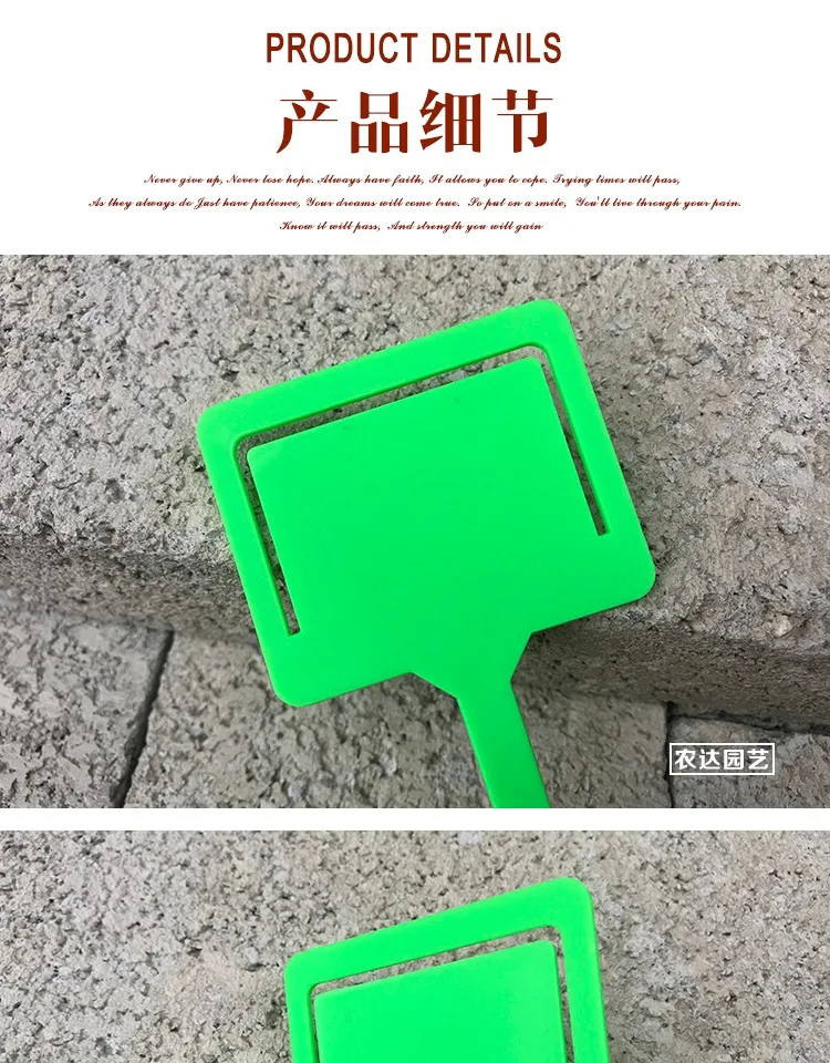 //img.alicdn.com/imgextra/i4/69116680/TB2Tbfqt3mTBuNjy1XbXXaMrVXa_!!69116680.jpg