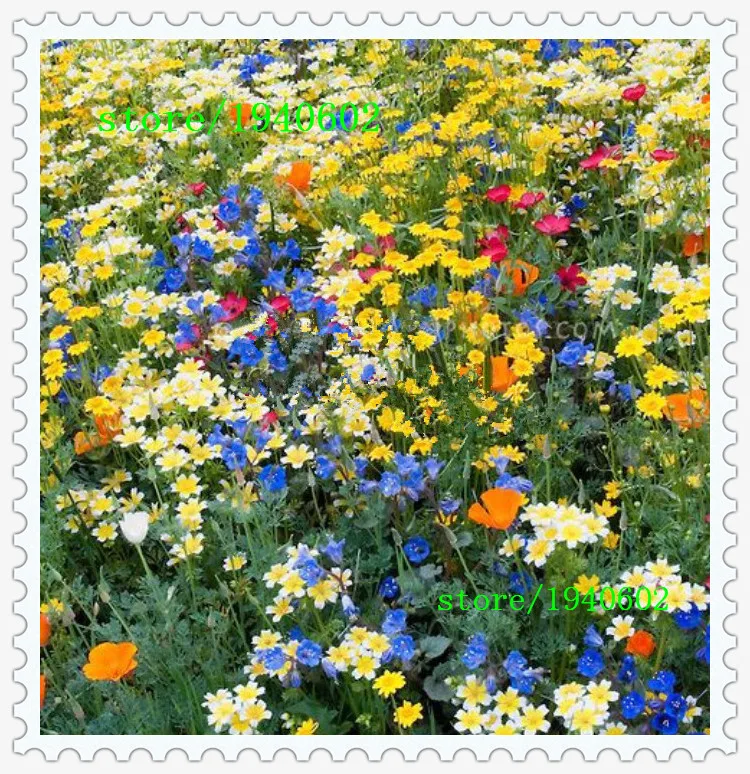 Silk Artificial Flowers Sydney The Best Ideas Silk Flowers Fake Sydney Flowerama Net Au
