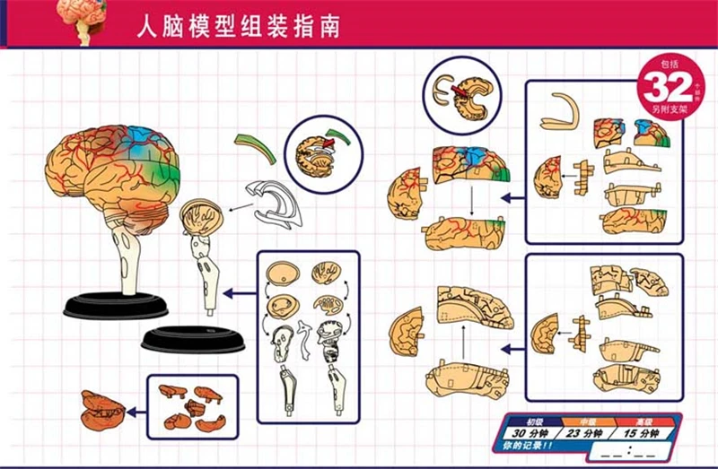 4d набор анатомических моделей для тела человека, развивающий мастер-пазл, сборная игрушка, медицинский поставщик, обучающая