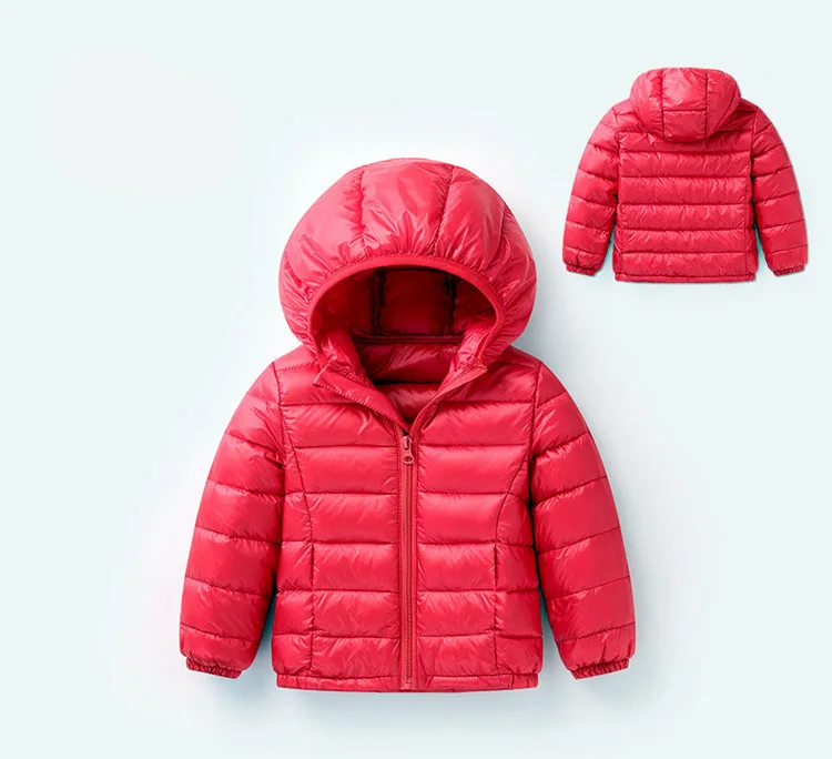 4447457426_1223885997