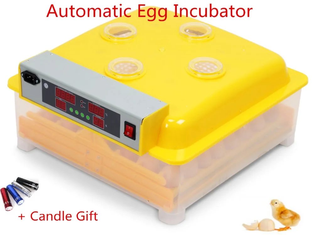 Mini 48 Eggs Automatic Turning Chicken Duck Hatchery Quail Incubadora Parrot Egg Incubator Poultry Hatching Machines Mini 48 Eggs Automatic Turning Chicken Duck Hatchery Quail Incubadora Parrot Egg Incubator Poultry Hatching Machines