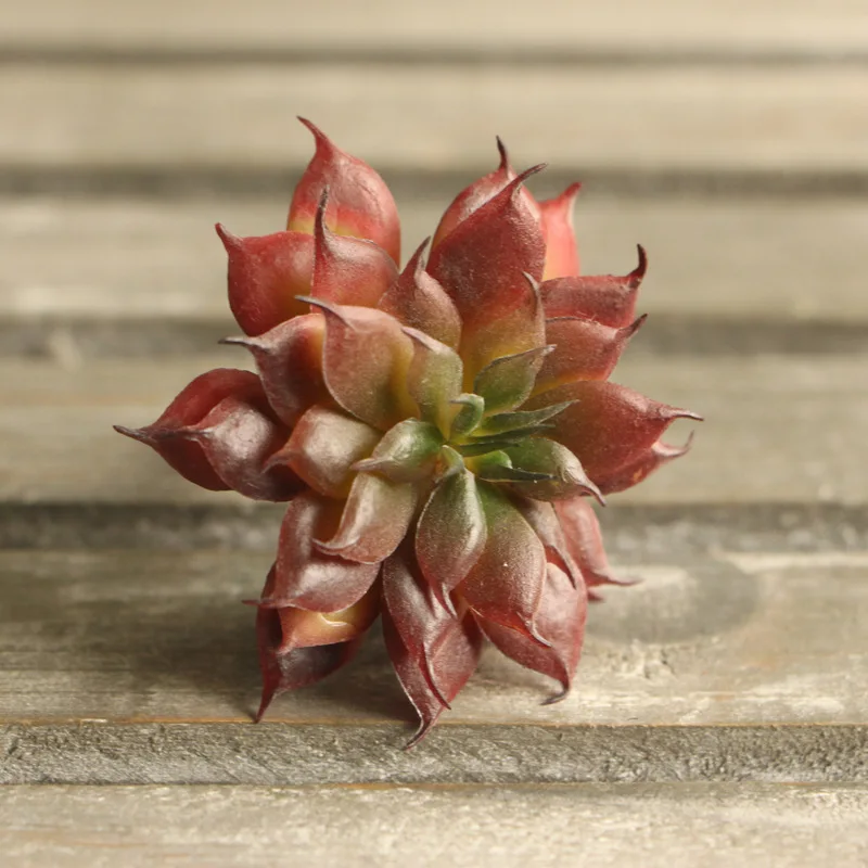 3 цвета лотос суккуленты цветок Мини искусственные растения украшение для дома