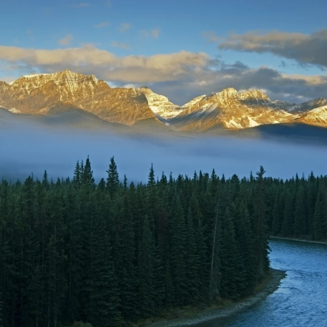Fog Over Trees  Bow River  Banff National Park  Alberta Poster Print (36 x 24)