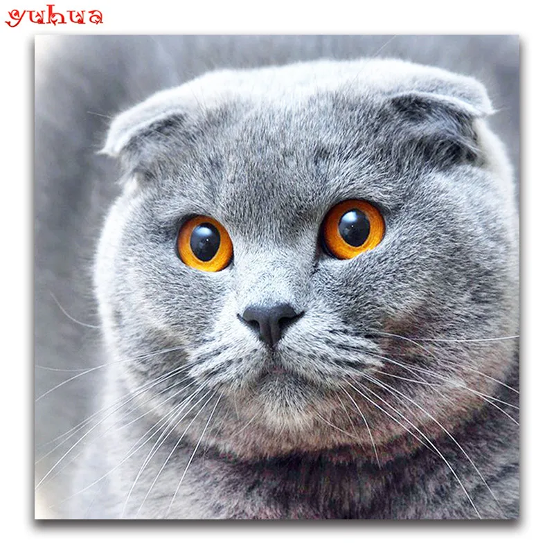 DIY 3D Diamond painting Cross stitch Full Square Diamond embroidery gray British Shorthair cat Full Round Diamond mosaic_