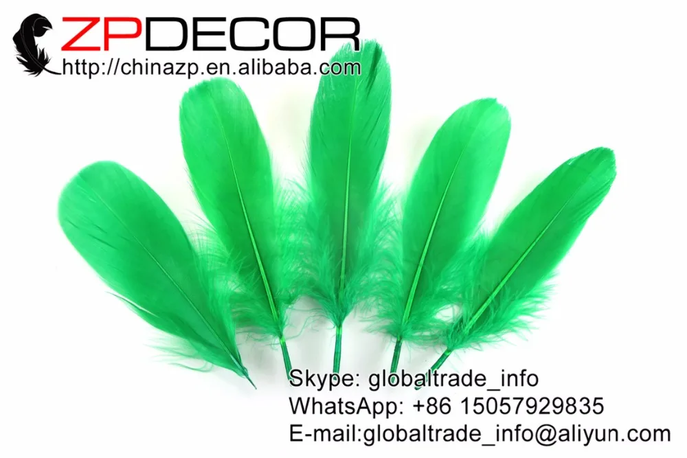 Zpdecor перья 10~ 20 см(4-8 дюймов) 200 шт./лот фантастические декоративная трава зеленый черные гусиные перья