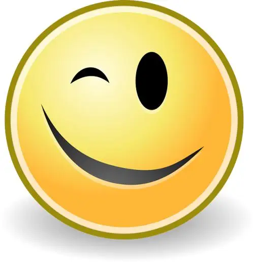 //ae01.alicdn.com/kf/HTB1UtCxtQyWBuNjy0Fpq6yssXXa8.jpg?width=500&height=515&hash=1015