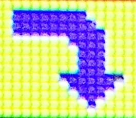 29