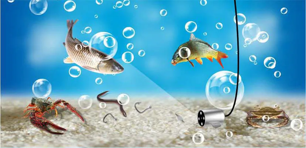 Localizadores de peixe