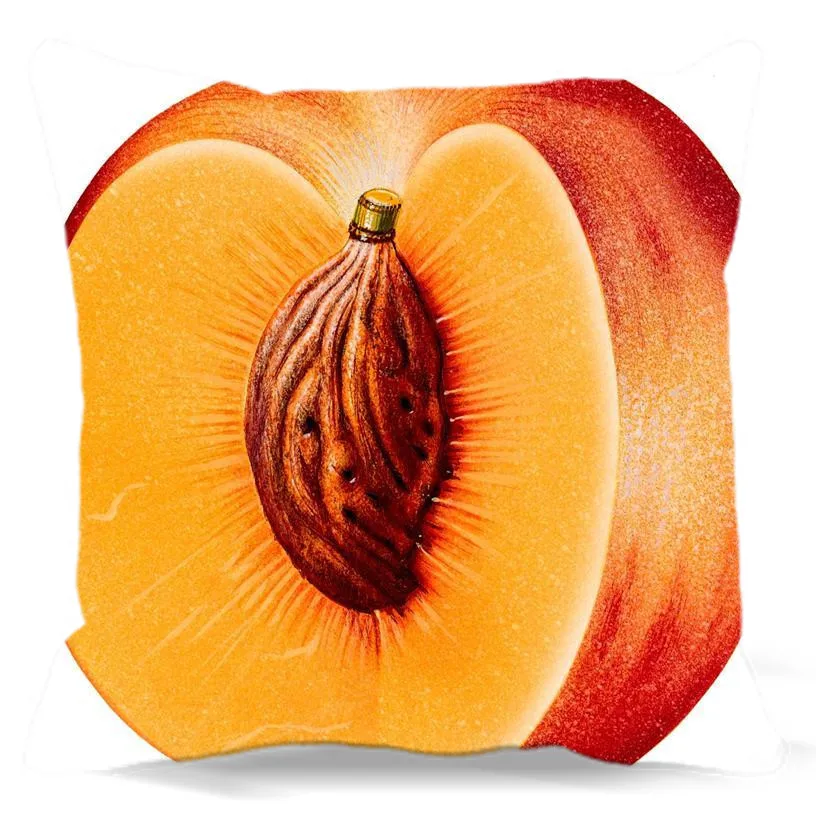 Parrot and Half Fruits Peach Orange Cushion Pillow Case Cover Double