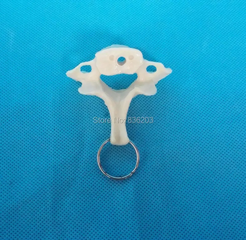 TB2Fe78tYVkpuFjSspcXXbSMVXa_!!1105428117