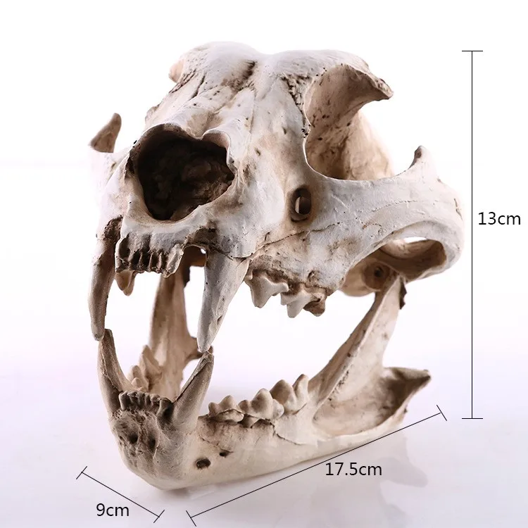9x17,5x13 см/модель черепа собаки, красивый реквизит для сцены из фильма, полимерный череп, изделия из смолы, украшения для дома