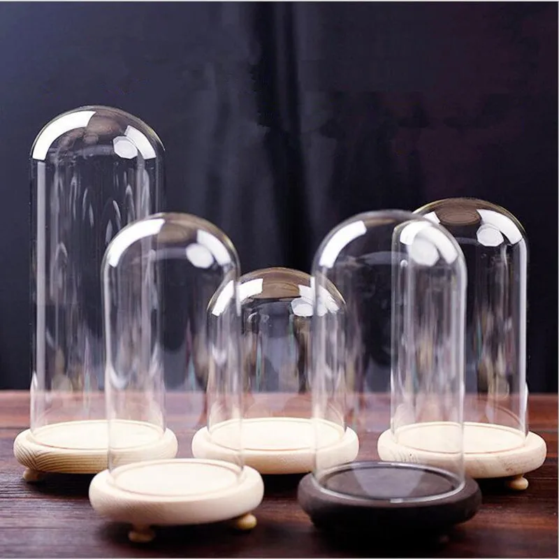 Диаметр = 7 см 9 см стеклянная купольная ваза из цельного дерева для домашнего украшения креативный стеклянный купольный друг подарок свадебное украшение|Бутылки, банки и коробки|   | АлиЭкспресс