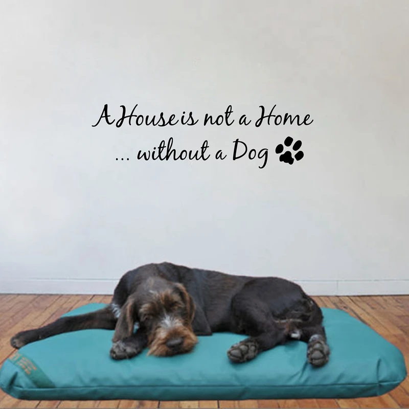 

amazon hot House is not a Home without a Dog Wall Decal Sticker Matte Black,cute dog love quote sayings,dog004