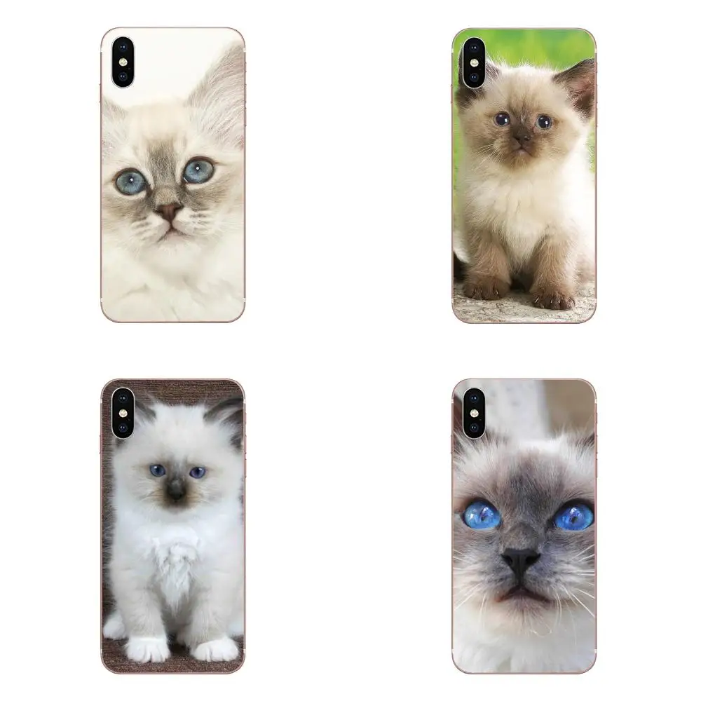 

Lovely Ragdoll Kitten Cat Pet For Galaxy Alpha Note 3 4 10 A10 A20 A20E A30 A40 A50 A60 A70 A80 A90 M10 M20 M30 M40