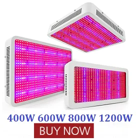 400w - 