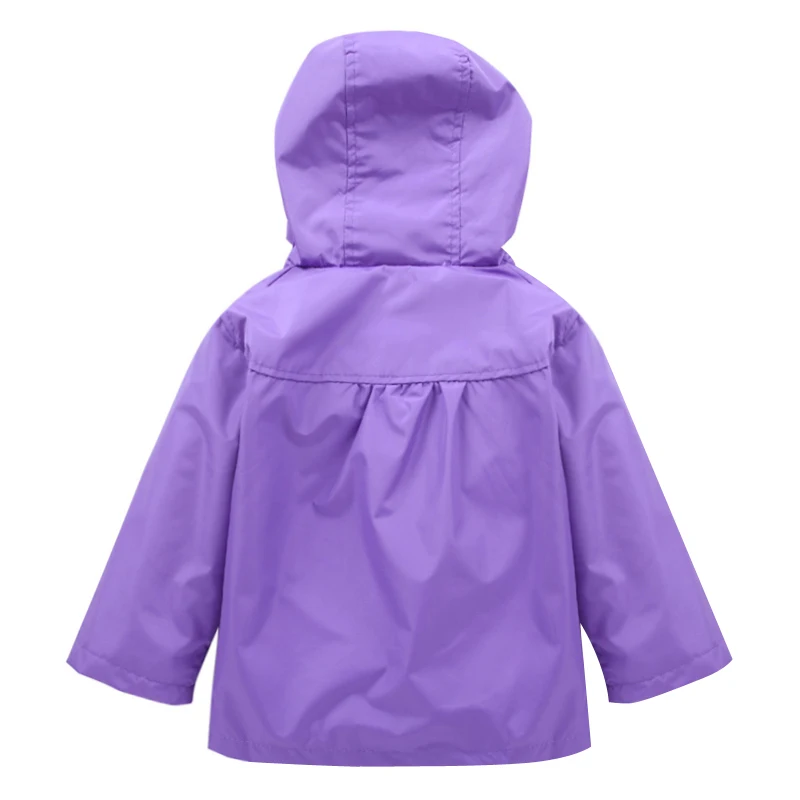 C004 purple (2)
