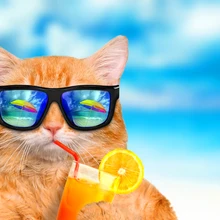 Кот питьевой коктейль деревянные головоломки 1000 шт. ersion пазл белый карты взрослых детские развивающие игрушки