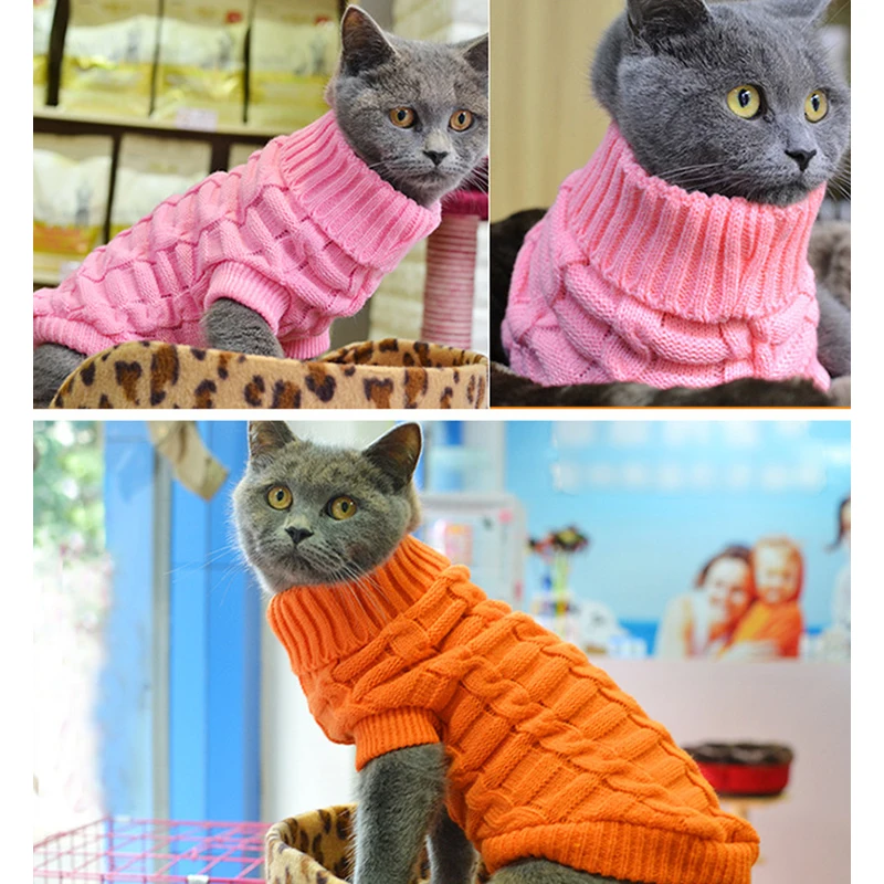 Valadaren Acheter Belle Chien Chandail Chat Vetements Solide Mode 10 Couleurs Laineux Vent Preuve Chiot Manteaux Pour L Hiver Automne Petit Moyen Fournitures Animaux De Compagnie Pas Cher En Ligne Valadaren Acheter Belle Chien Chandail Chat Vetements Solide Mode 10 Couleurs Laineux Vent Preuve Chiot Manteaux Pour L Hiver Automne Petit Moyen Fournitures Animaux De Compagnie Pas Cher En Ligne