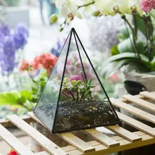 Modern Table Dodecahedron Glass Terrarium Succulent Plant Terrarium Box Flowerpots Pyramid Planter Geometric Bonsai  Flower Pot