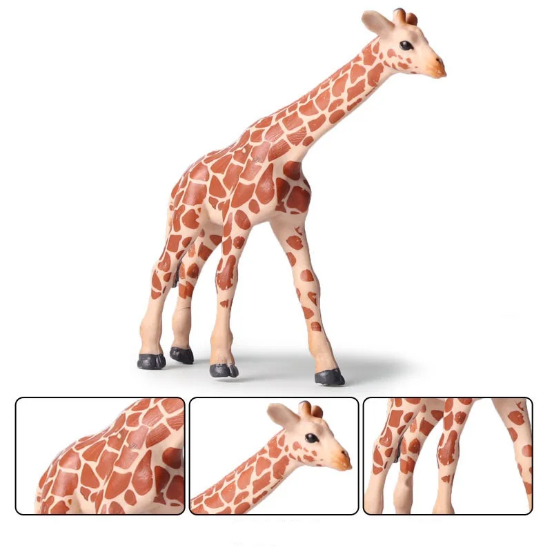 giraffe (3)