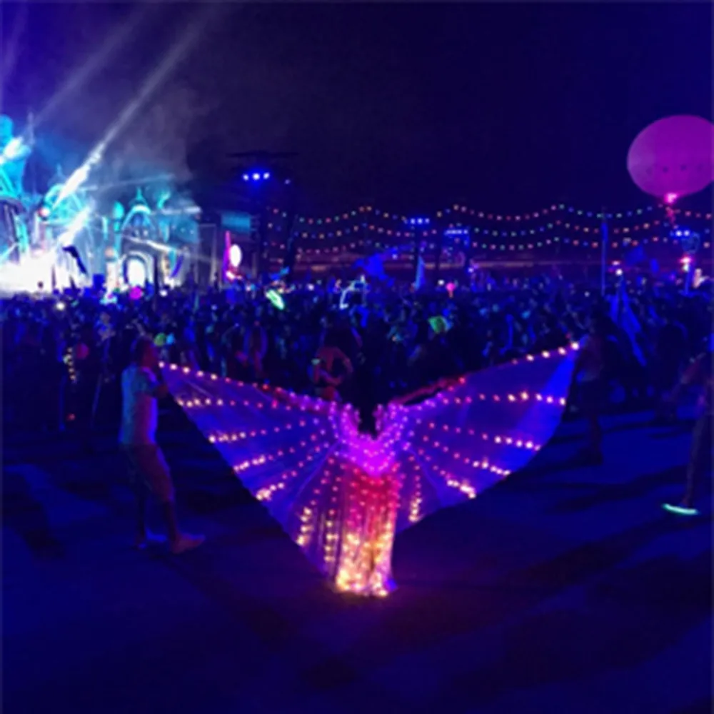 Butterfly Wings  (32)